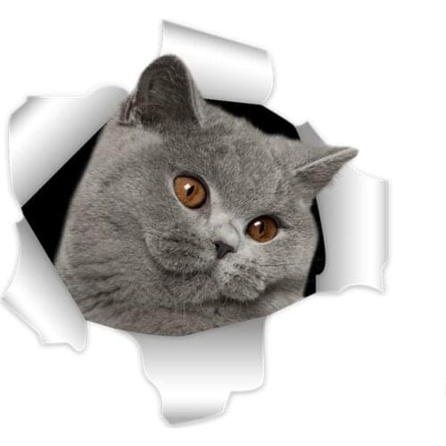 Hot Sell Personality 3D British Shorthair Cat Car Stickers Accessories Motorcycle Sunscreen Waterproof PVC 13cm *12cm