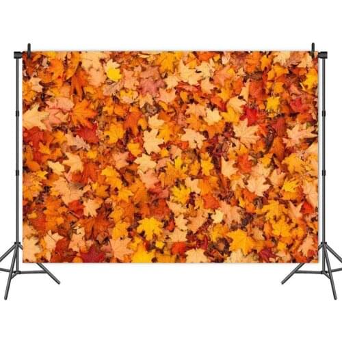 Cute Western Avisano Pony Flowers Pink Theme Party Background Girl Birthday Table Decoration Photography Photo Kids Vinyl Banner