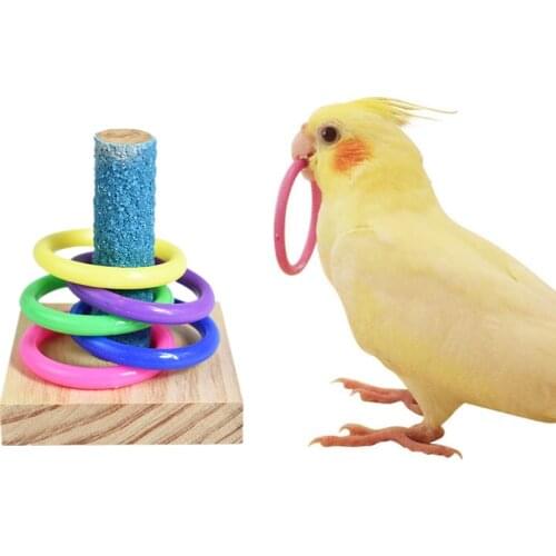 Birds Parrot Wooden Platform Education Play Gym Playground Activity Develop Intelligence Stacked Circle Training Chew Puzzle Toy
