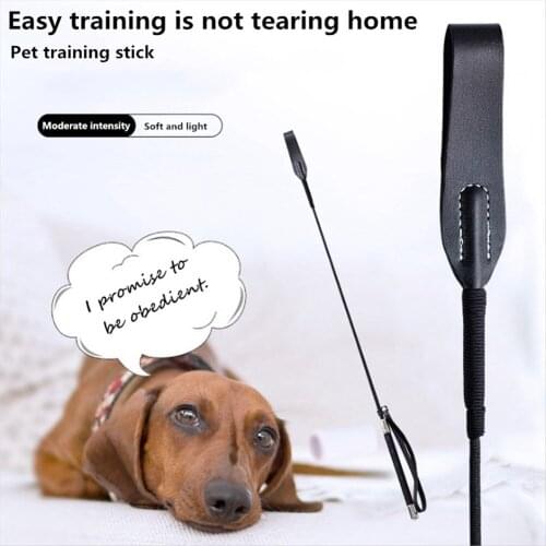 Pet Dog Training Whips Long Handle Black Medium Large Dogs Behavior Management Stick Horse Riding Training Tool Pets Products