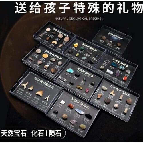 Natural paleontology fossil meteorite gift box original stone gift ornament geological science teaching specimen