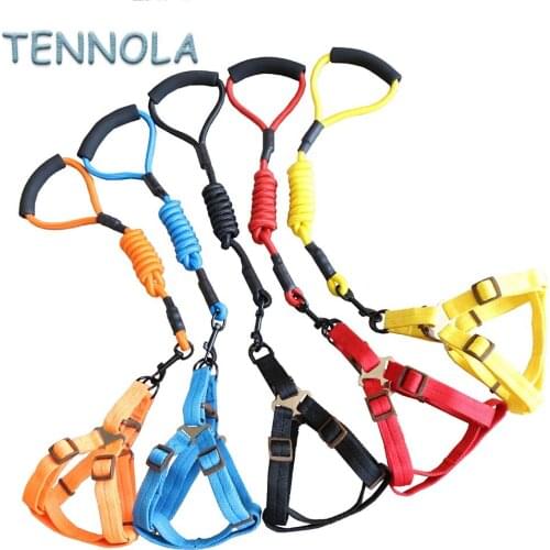 TENNOLA Collars