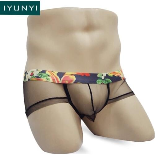 IYUNYI Men Underwear Briefs Low Rise U Bugle Lingerie Briefs Sexy Transparent Male Mesh Breathable Underpants Panties Shorts
