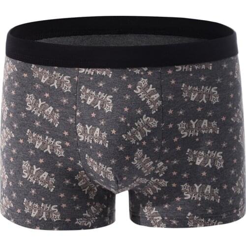 Shulammitelily Men's Loose Briefs