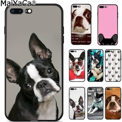 MaiYaCa Animal boston terrier dog Pattern TPU Soft Phone Accessories Phone Case for iPhone 8 7 6 6S Plus X XS MAX 5 5S SE XR