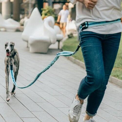 New Multi-functional Leash Traction Rope Pet Dog Running Belt Elastic Hands Freely Jogging Pull Dog Leash Metal D-ring Leashes