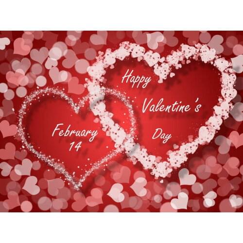 VinylBDS Valentines day Backdrops Photography Backgrounds Photo Studio Heart Photocall Backdrops For Photography Fotografia