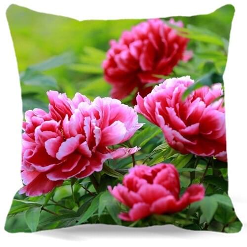 Cotton polyester Chair Sofa Home Decorative 16" 18" 19" 9 style Blooming Pink white peony flower pattern Pillow Case