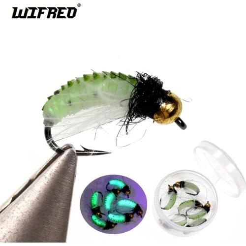 WIFREO 10PCS Brass Bead Head Fast Sinking Caddis Nymph Fly UV Trout Fishing Flies CDC Hackle Artificial Insect Bait Lured