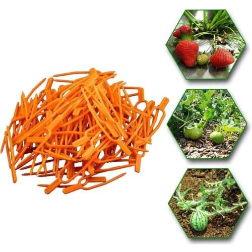 100pcs Garden tools Plastic Quality Plant Clips Stolons fixing fastening Fixture clamp strawberry fork Farming Clip