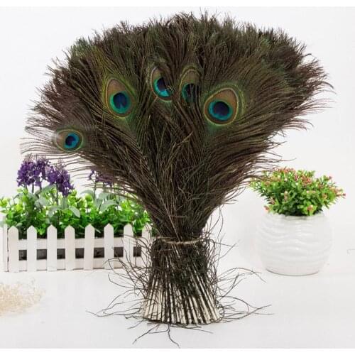 10 Pcs/lot Natural Big Eyes Peacock Feathers 25-30CM/10-12inch DIY Jewelry Accessories Wedding Home Plume Decoration Crafts