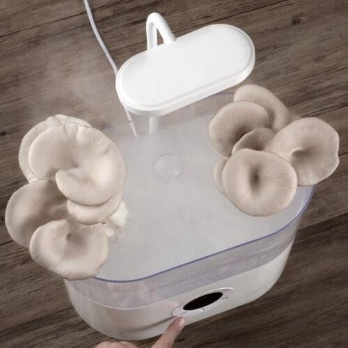 Intelligent Mushroom Growing Machine Home Pleurotus ostreatus Cultivation Apparatus Automatically Fill Light constant temperatur