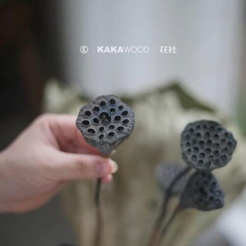 Home Ornament Natural Original Ecological Plant Fruit Shell Fresh Dried Flowers Non-Grafting Rod Natural Zen Small Lotus Seedpod