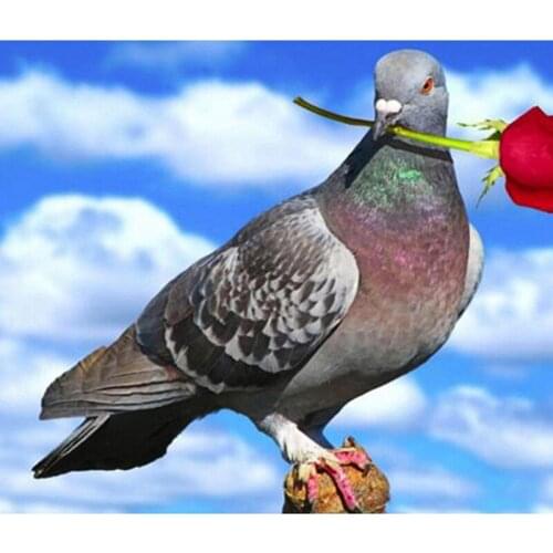 New hot 5D DIY Diamond painting animal diamond mosaic full square rhombus embroidery two pigeons home decoration gift