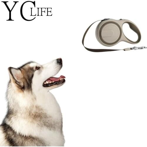 5M Nylon Automatic Retractable Dog Leash Adjustable Pet Walking Training Extending Traction Rope Leash For Pet Dog