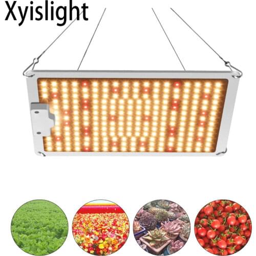 Светодиодные лампы для растений Xyislight China At AliExpress
