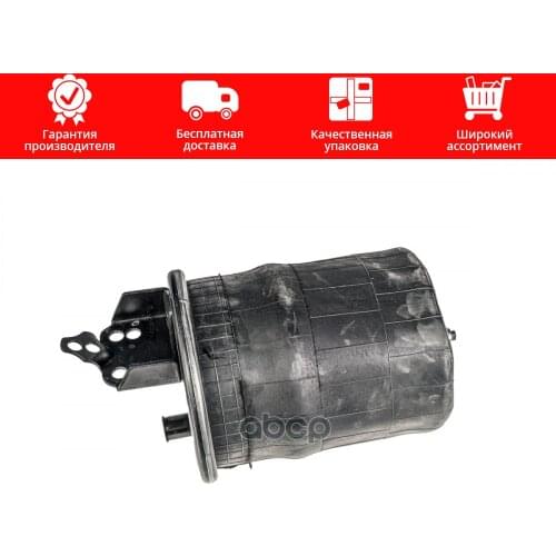 ZENTPARTS Piston Rings