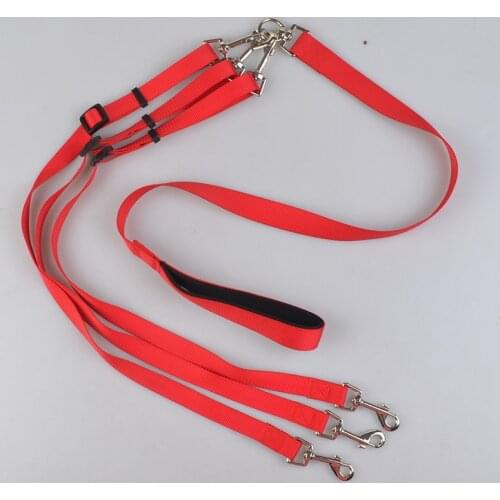 Nylon Dual Dog Leash Triple Dog Lead 144-170cm Long Detachable 3 Dog Lead for Walking Small Medium Dogs Teddy Chihuahua Bichon