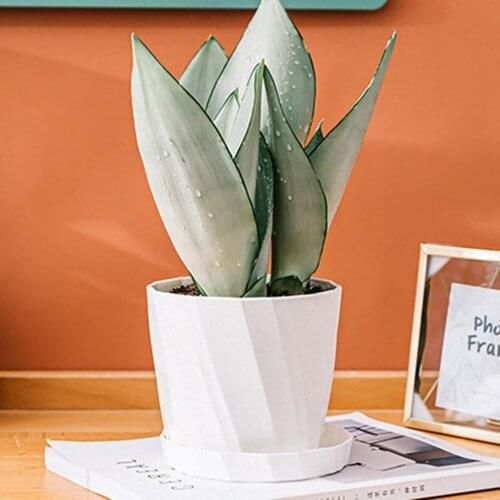 Plastic Flower Pots Wall-Mounted Combined Desktop Floor-Standing Hanging Basin Plant Pots Drainage Hole Plant Nursery Flower Pot