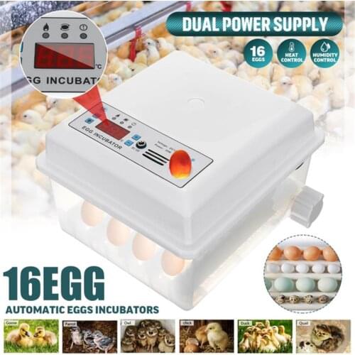 220V Digital Automatic Egg Incubator 7/9/16 Egg Mini Brooder Machine Household Farm Hatching Chick Incubator Controll Equipment