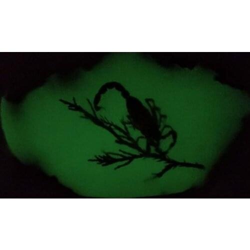 Collection old noctilucent Scorpion amber statue,Hand carving crafts,free shipping