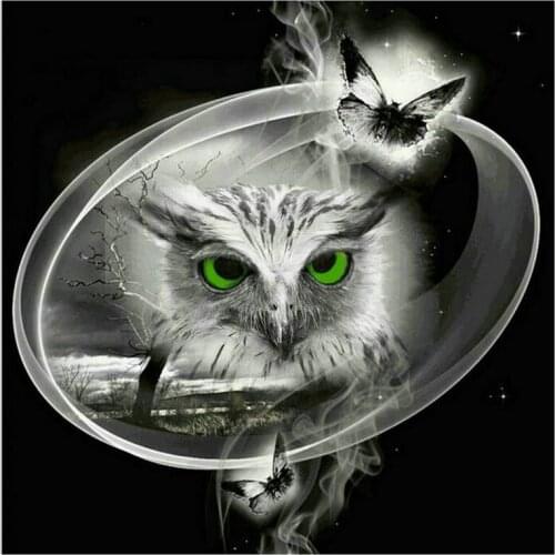 Owl Embroidery diamond painting full square owl diamond mosaic cross stitch 5d resin round diamond art