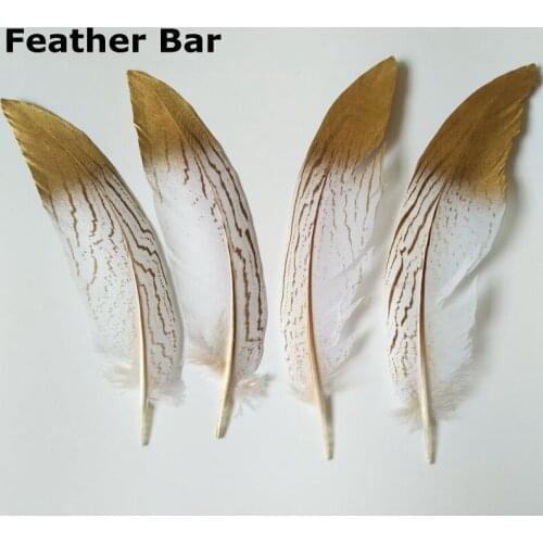 Free shipping 200pcs white pheasant silver feathers size range 20-25cm to 75-80cm Gold Tipped pheasant feather plumes