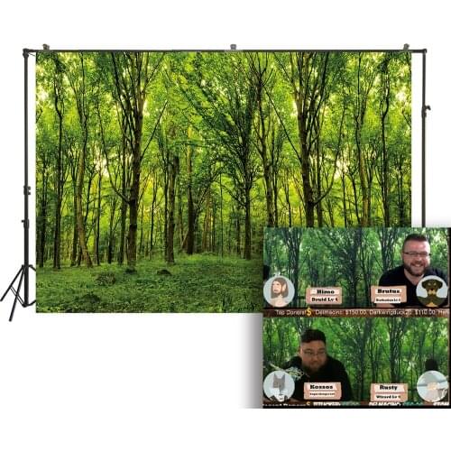 HUAYI Photography Backdrop Forest Photoshoot Background Easter Spring Newborns Portraits Live video Birthday Party Decor W-121