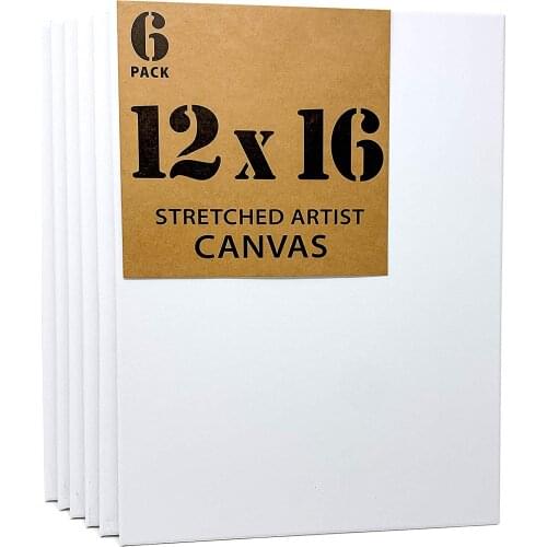 12x16 Inch Paint Canvases for Painting Stretched Canvas Pack of 6,100% Cotton Art Supplies for Acrylic Pouring and Oil Painting