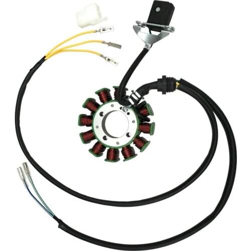 12 Coil Taotao Pole Stator Magneto Flywheel Stator Plate 200cc-250cc Dirt Bike ATV Go Kart