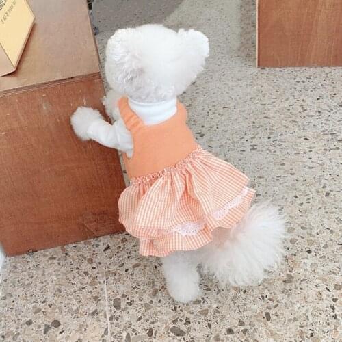 Winter Small Dog Dress Cat Puppy Teacup Poodle Chihuahua Yorkshire Terrier Clothes Skirt Tutu Maltese Pomeranian Pet Clothing