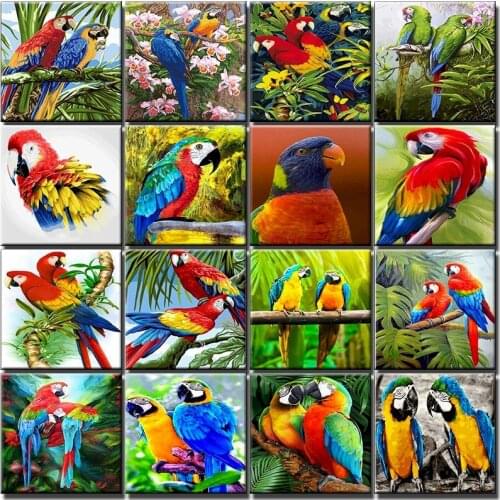 Diy Pictures By Number Animal Paintings By Numbers Bird Drawing Adults On Canvas HandPainted Painting Parrot Kits Home Decor Set
