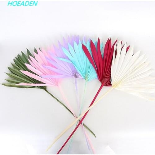 Palm Fan Leafs Dried Flower Palm Leaf Window Wedding Arch Arrangement Party Art