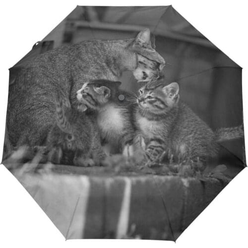 Black Cat Pattern Automatic Umbrella Three Folding Umbrella Classic Automatic Umbrellas Black Umbrella for Men and Women