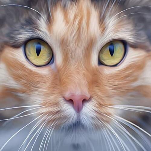 Full Drill DIY 5D Diamond Painting Forest Animal Cat Face Cross Stitch Embroidery Patterns Mosaic Home Decoration