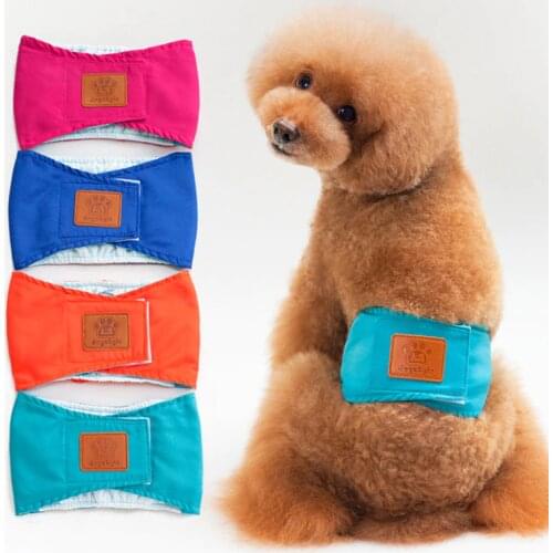 Cute Dog Physical Pant For Male Dog Lovely Dog Underwear Puppy Short Dog Diapers Dogs Belly Band Nappy Wrap Pet Dog Panties