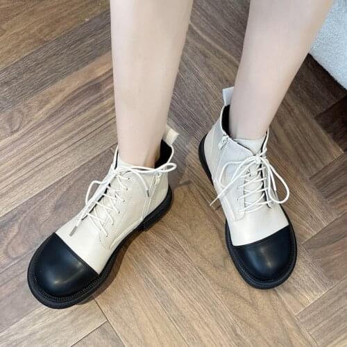 Lucyever Mix Color Womens Ankle Boots 2021 Autumn Winter Warm Short Plush Ankle Boots Woman Round Toe Lace-up Square Heel Botas