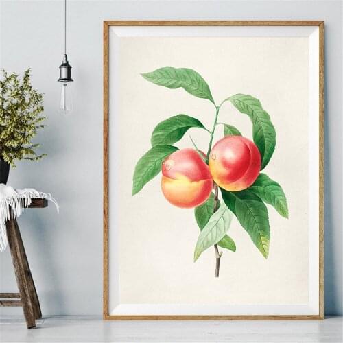 Colorado Wildflower Botanical Pictures Living Room Wall Art Decor Flower No Frame Poster Oil Painting Decoration