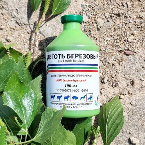 Ветспектрум Equipment For Veterinary Clinics