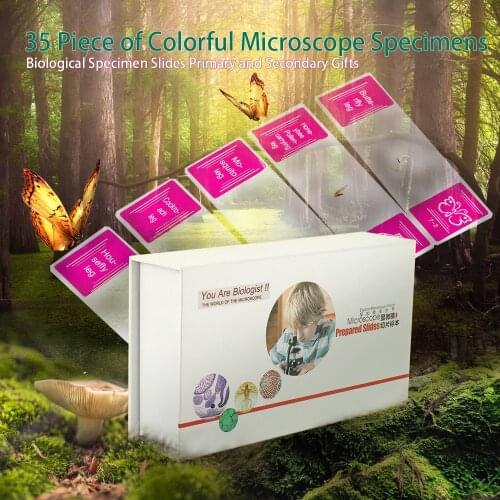 35 PCS of Colorful Microscope Specimens Biological Gift Box Slides Primary and Secondary Gifts Dyeing Clear Interest Cultivate