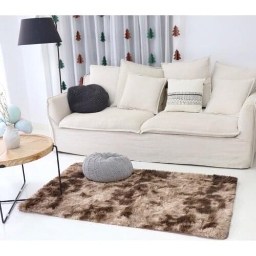 Thick Living Room Carpet Plush Rug Children Bed Room Fluffy Floor Carpets Window Bedside Home Decor Rugs Soft Velvet Mat Newest