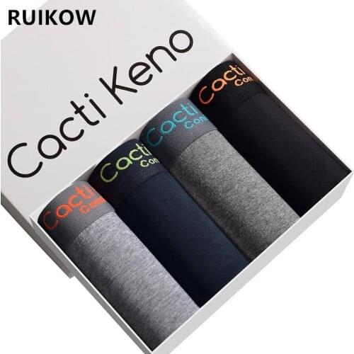 4 Pcs/Lot Top Qualiy Mens Trunks Underwear with Organic Pure Cotton Strecth Boys Boxer Briefs Big Pouch Male Boxershorts L-5XL