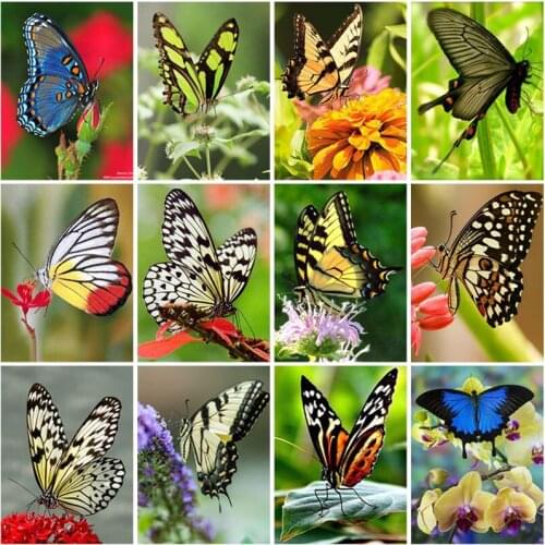 5D DIY Diamond Painting Butterfly Cross Stitch Kit Full Square Drill Embroidery Animal Mosaic Home Decor Kit Wall Art Gift