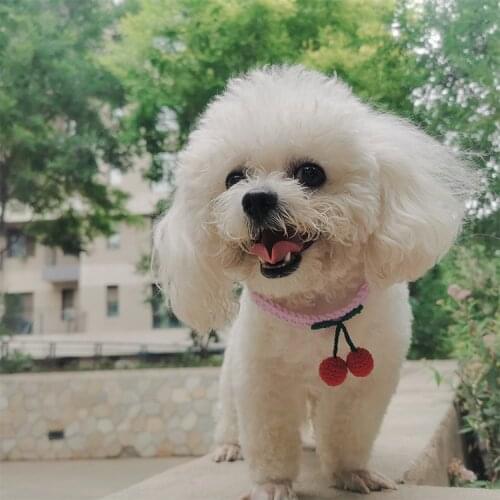 Handmade cherry type woven cute dog cat knitted collar