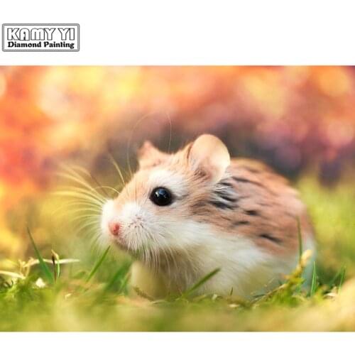 5D DIY Diamond embroidery Cross stitch Cute hamster Full Square/Round Diamond mosaic Diamond painting decor HYY