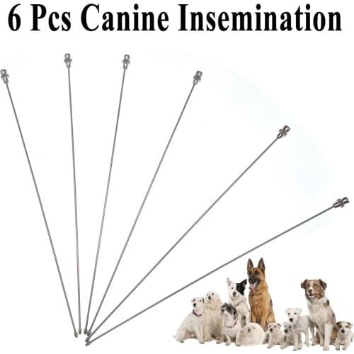 6PCS Dog Canine Fresh Semen Sperm Injection Needle Artificial Insemination Pin Stainless Steel Pet Sheep Goat Veterinary Clinic