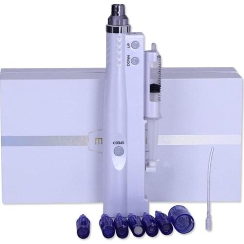 Hydra Injector Derma Pen 2 in 1 Nano Mesotherapy Microneedle Pen Mesogun Portable Smart Injector Pen Facial Treatment Machine