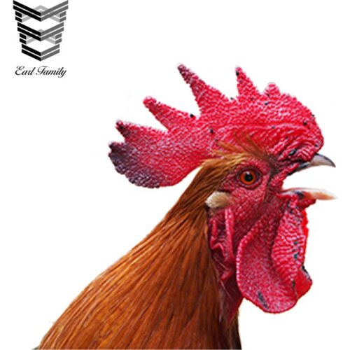 EARLFAMILY 12cm x 11.1cm Funny Rooster Window Car Stickers Rooster Decal Waterproof 3D Car Styling Stickers Decoration
