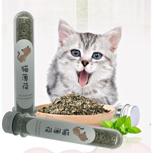 Catnip in Tube Natural Organic Premium Catnip Catmint Menthol Flavor Can Be Sprinkled on Toys and Catnip Toys Pleasing Pet