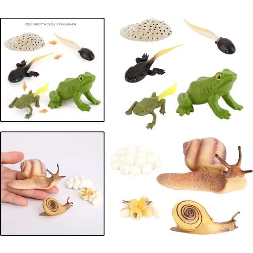 Early Kids Childrens Animals Growth Process Toy Set Models Learning Nature